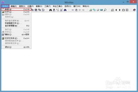WinHex使用教程:一款强大的数据恢复与编辑工具 WinHex使用教程:一款强大的数据恢复与编辑工具