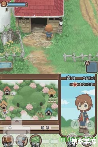 牧场物语双子村攻略 《牧场物语双子村》全面攻略与游戏心得