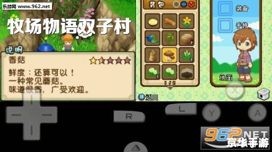 牧场物语双子村攻略 《牧场物语双子村》全面攻略与游戏心得
