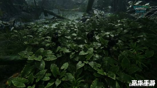 星际争霸1秘籍全解析：战术、战略与操作指南