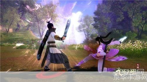 九阴真经峨眉派深度解析