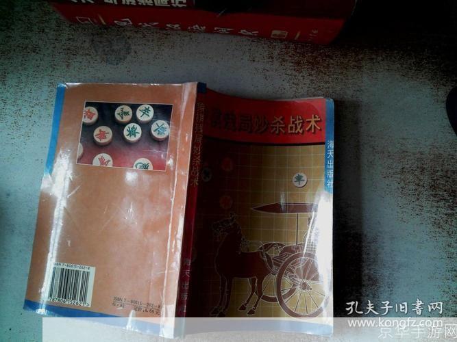 象棋之魅：探究经典残局与战术精髓