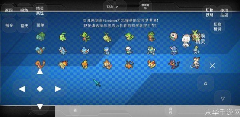 口袋妖怪游戏:口袋妖怪：探险之旅