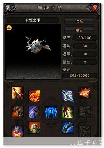 斗战神宝宝:斗战神宝宝：神宠助力，征战天下