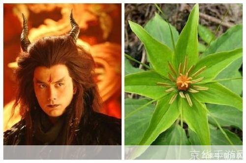 仙剑三角色与草药的奇幻之旅