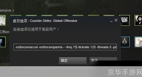 CSGO国服启动项详解与游戏特色分析