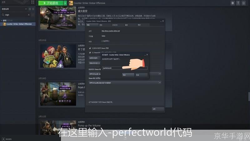 CSGO国服启动项详解与游戏特色分析