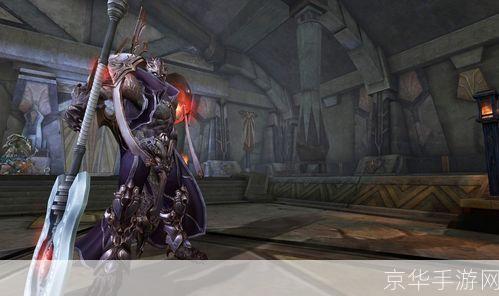 永恒之塔杀星宏：探索虚拟世界中的战斗艺术