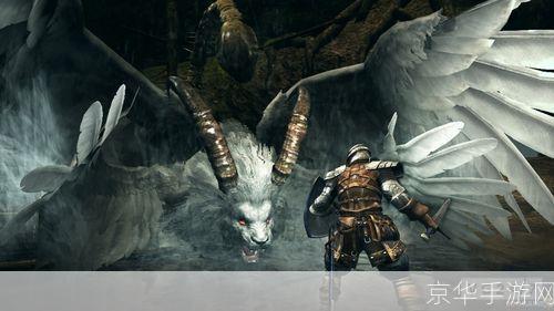 黑暗之魂 联机:黑暗之魂 联机版：探索深渊，共战恶魔
