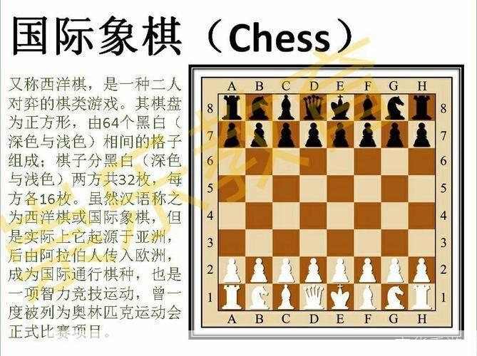 国际象棋大师：思维与策略的舞台