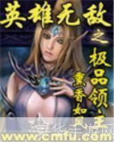 英雄无敌之极品领主：征服与荣耀的史诗之旅