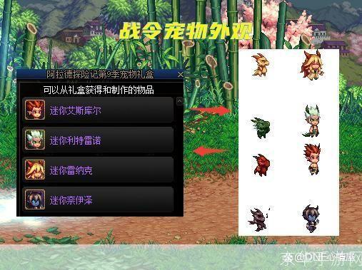 DNF宠物进化任务全解析：打造最强战斗伙伴