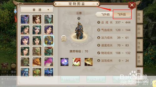 问道宠物飞升:问道宠物飞升：探索飞升之道，与宠物共赴仙境