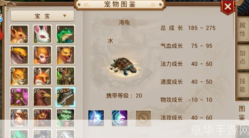 问道宠物飞升:问道宠物飞升：探索飞升之道，与宠物共赴仙境