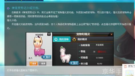 QQ飞车羊驼妮妮：极速世界中的可爱伙伴