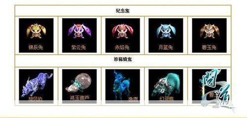 问道宠物幻化全解析：打造最强战斗伙伴