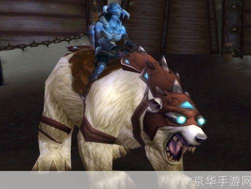 霍迪尔之子战袍：征战之衣，荣耀的象征