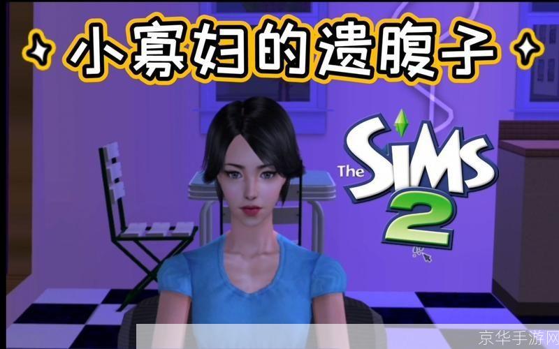 破解无忧！模拟人生2免CD补丁全解析
