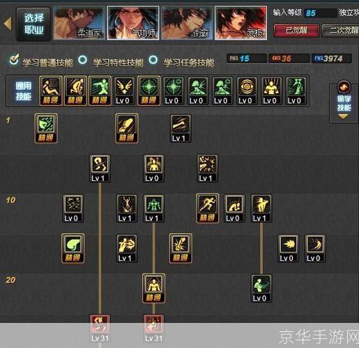 男散打PK加点攻略：如何优化技能配置，称霸竞技场