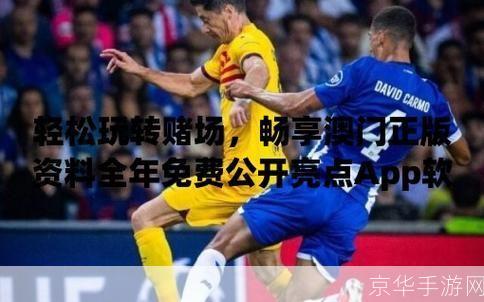 魂斗罗秘籍:魂斗罗秘籍大揭秘：经典游戏的魅力与技巧