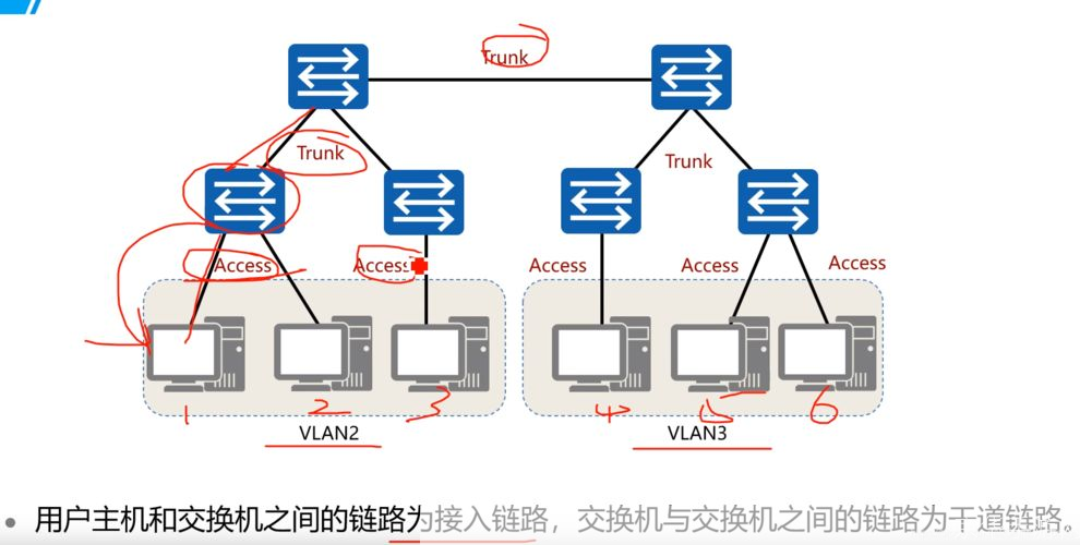 火炬之光2vlan:火炬之光2：虚拟局域网（VLAN）联机解析