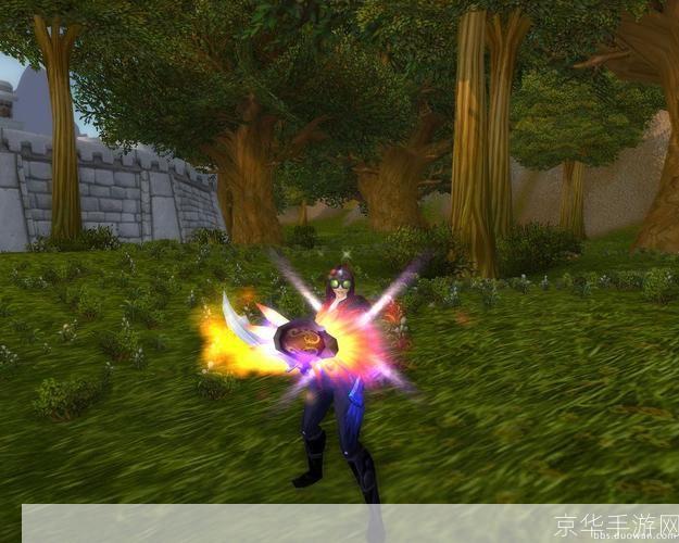 wow盗贼幻化:炫彩神偷：探索魔兽世界盗贼幻化的魅力