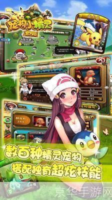 神奇宝贝：探险与挑战的世界