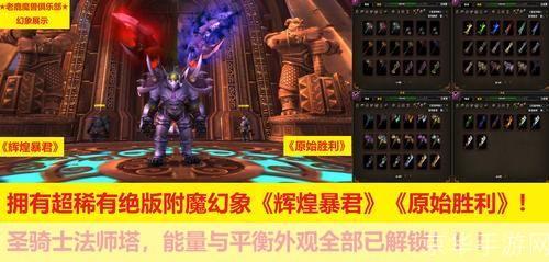 黄金圣骑士：闪耀的荣耀与无尽的挑战