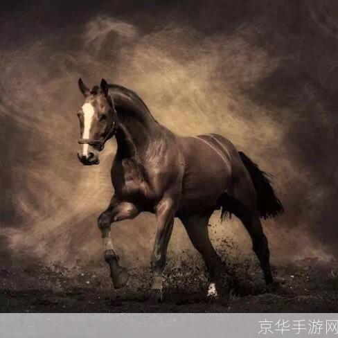 驰骋疆场，铁血丹心：深度解析骑马与砍杀戎马丹心