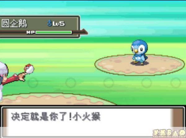 口袋妖怪白金汉化版:口袋妖怪白金汉化版：经典再现，掌中妖怪世界的新征程