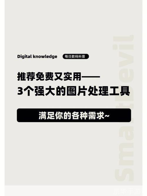 Foxy 的使用指南：如何充分利用这个强大的工具