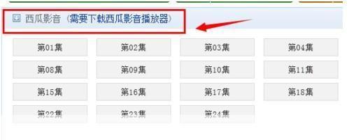 西瓜播放器官方使用指南