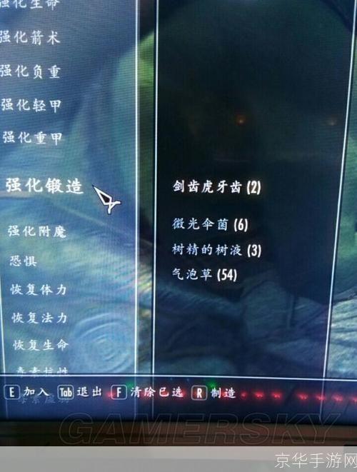 上古卷轴5：炼金术大揭秘——掌握配方，称霸炼金术世界