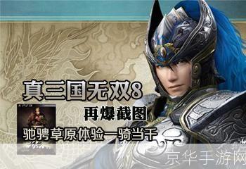 真三国无双8:真三国无双8：征战乱世，再现辉煌三国
