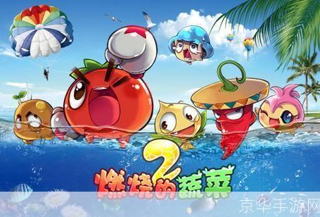 燃烧的蔬菜2电脑版：蔬菜大战，火热升级