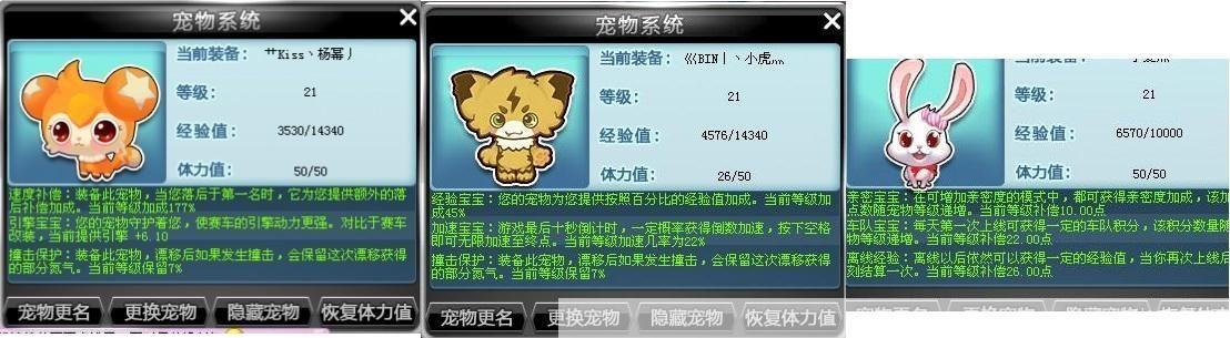 qq飞车宠物哪个好:QQ飞车宠物大比拼：哪个宠物最适合你？