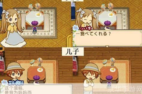 牧场物语双子村游戏深度解析