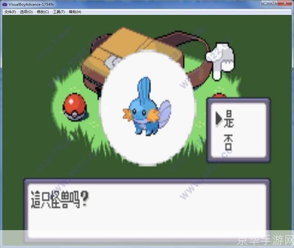 详细步骤指南：如何安装并开始玩口袋妖怪蓝宝石
