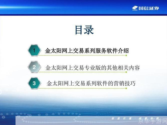 国信金太阳网上交易专业版使用指南