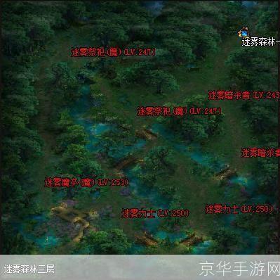 迷雾森林地图:迷雾森林探险：揭秘神秘地图背后的游戏世界
