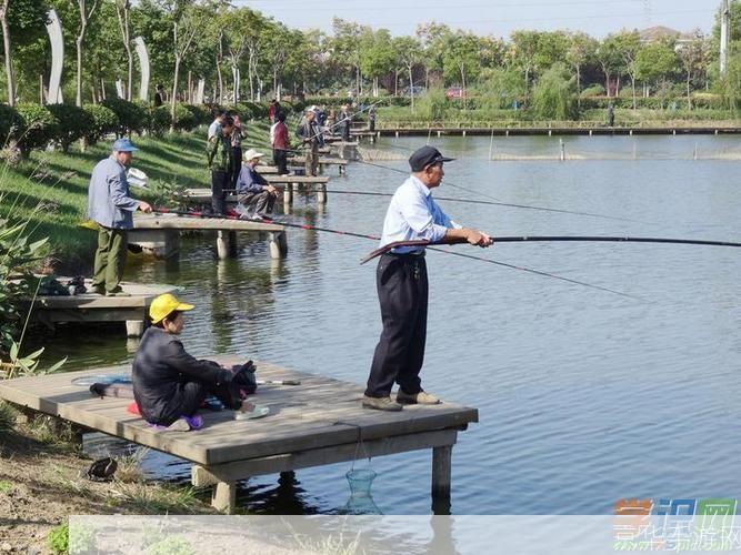 钓鱼视频怎么用: 掌握钓鱼视频的运用技巧，提升垂钓乐趣