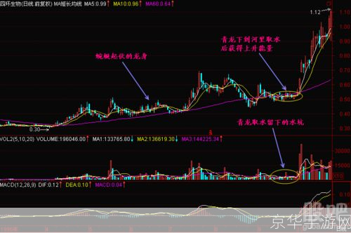 q将三国青龙加点:青龙腾飞：q将三国青龙加点攻略与解析