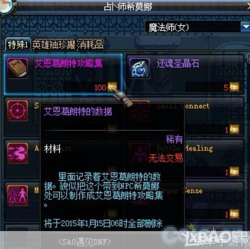 DNFSAO礼包大揭秘：探索游戏内外的无限可能