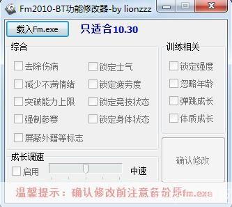 fm2010修改器:FM2010修改器探秘：游戏深度解析与无限可能