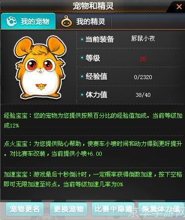 QQ飞车宠物大揭秘：竞速世界的小伙伴力量