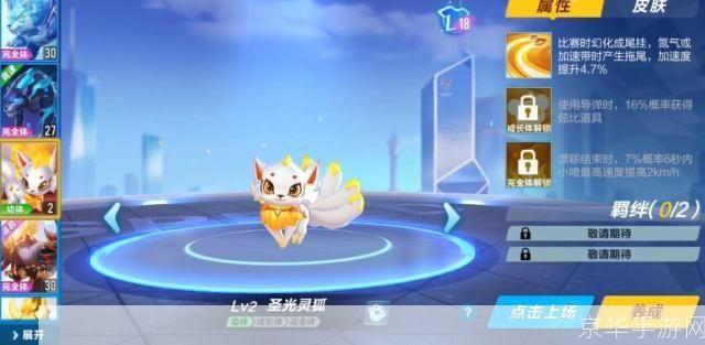 QQ飞车宠物大揭秘：竞速世界的小伙伴力量
