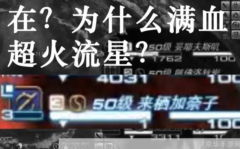 火流星怎么用: 火流星的使用方法与注意事项