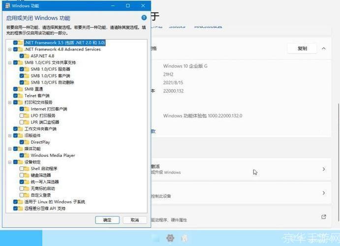 WMP11使用指南：从安装到操作的全面解析