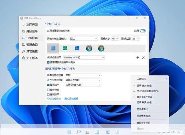 WMP11使用指南：从安装到操作的全面解析