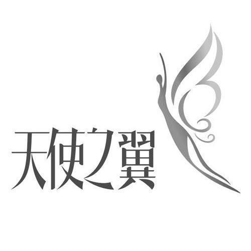 天使之翼的使用方法详解